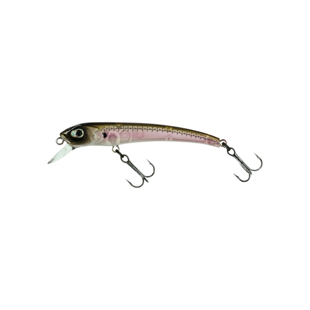 MOLIX AUDACE 65